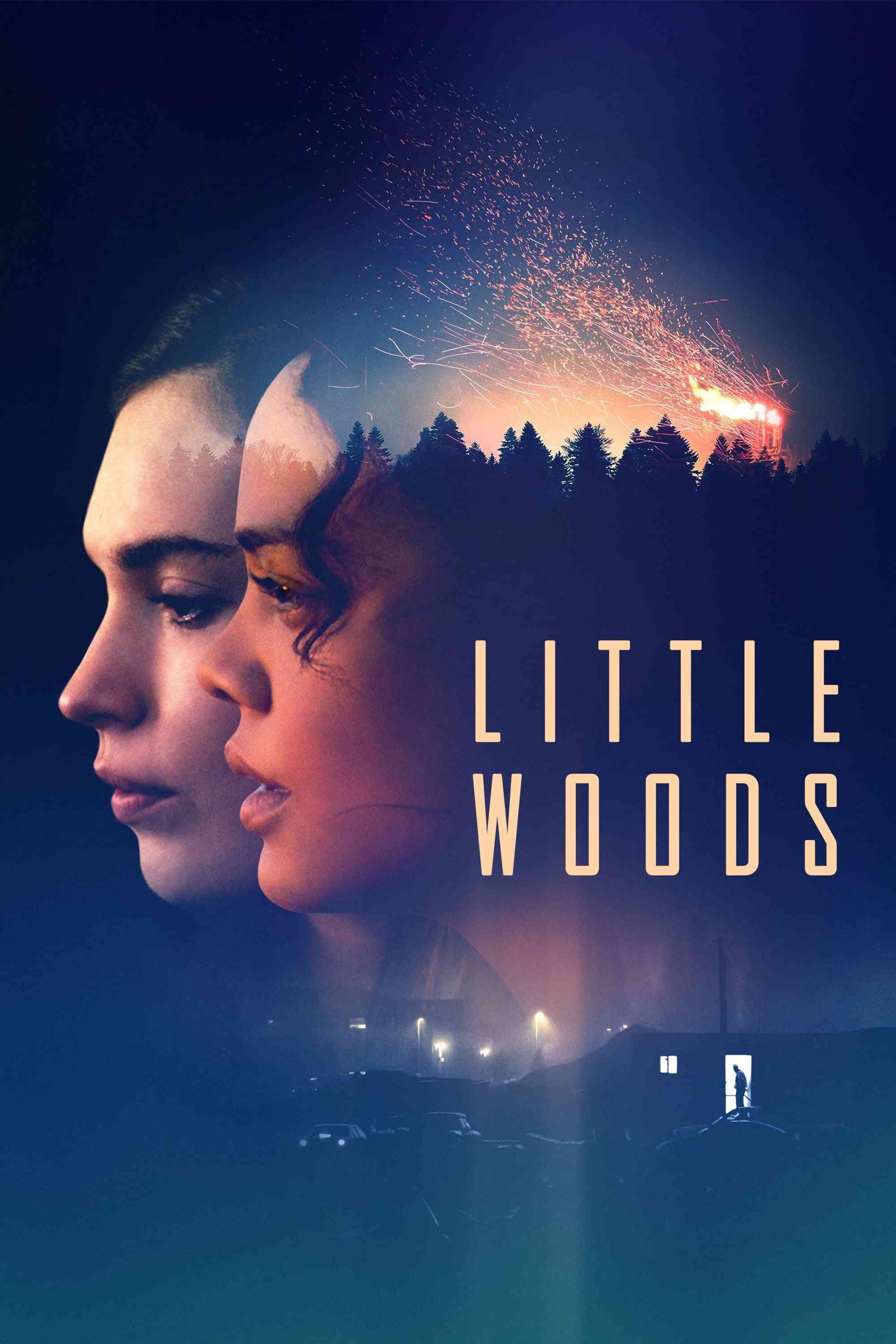 Little Woods  (2019),Online za darmo
