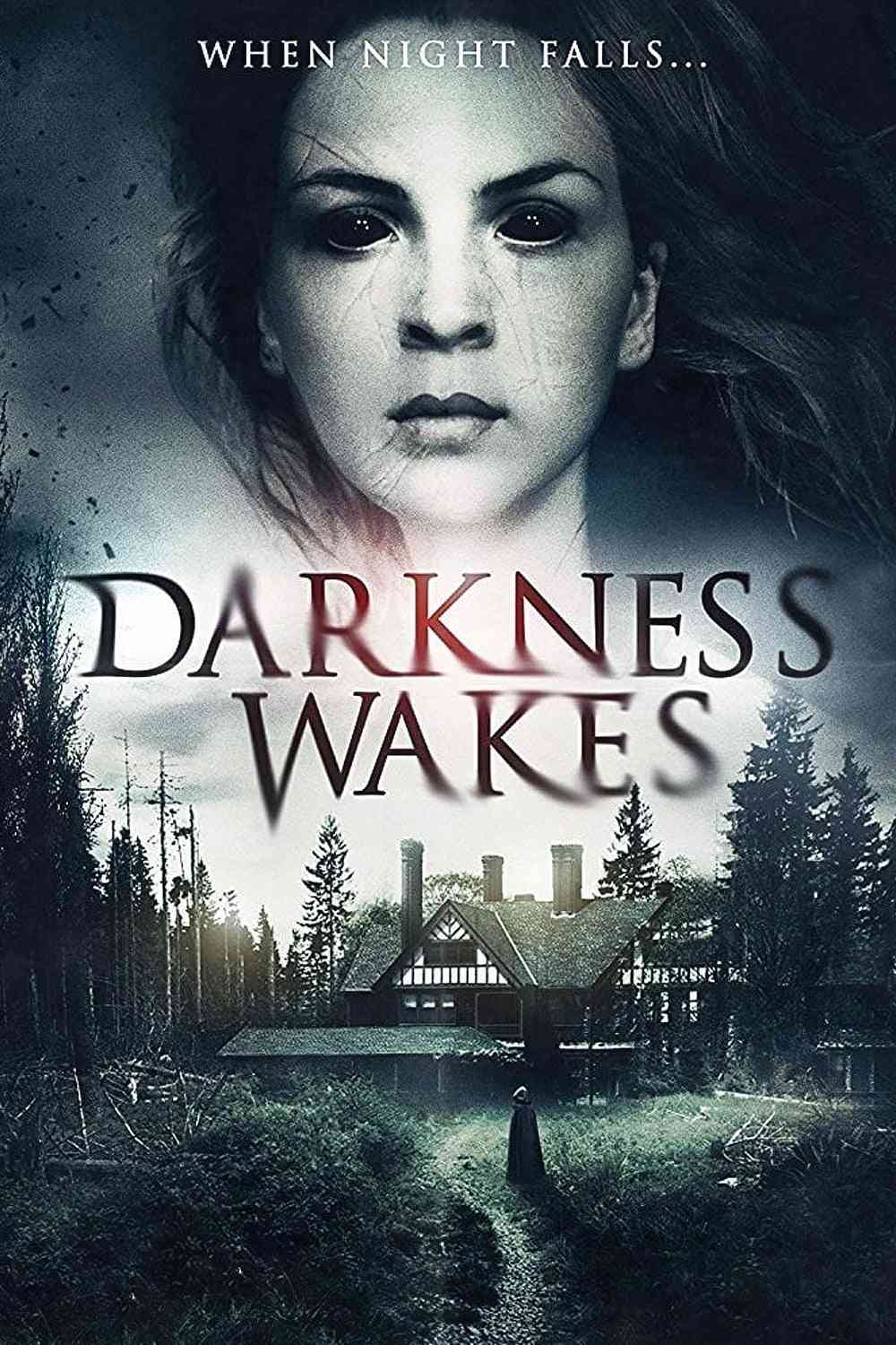 Darkness Wakes  (2017),Online za darmo