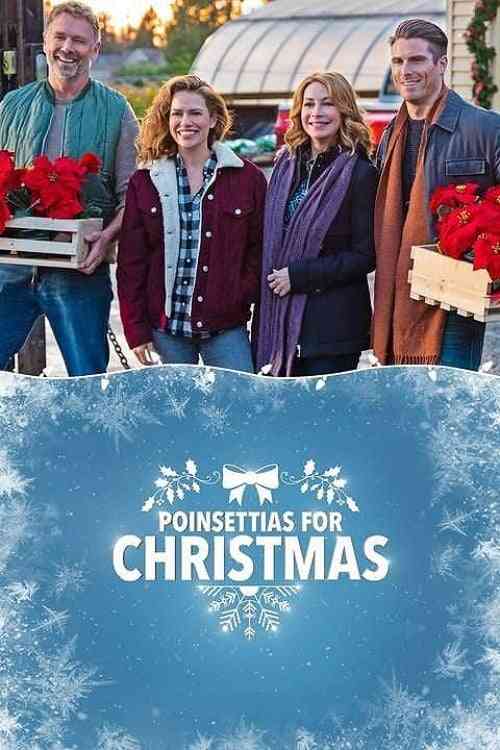 Poinsettias for Christmas  (2018),Online za darmo