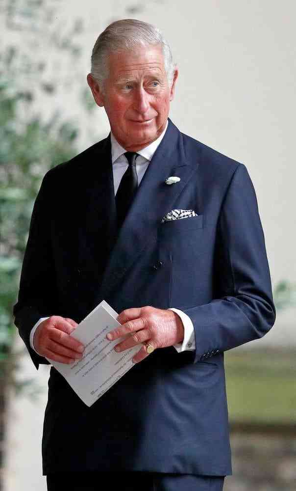Prince, Son and Heir: Charles at 70  (2018),Online za darmo