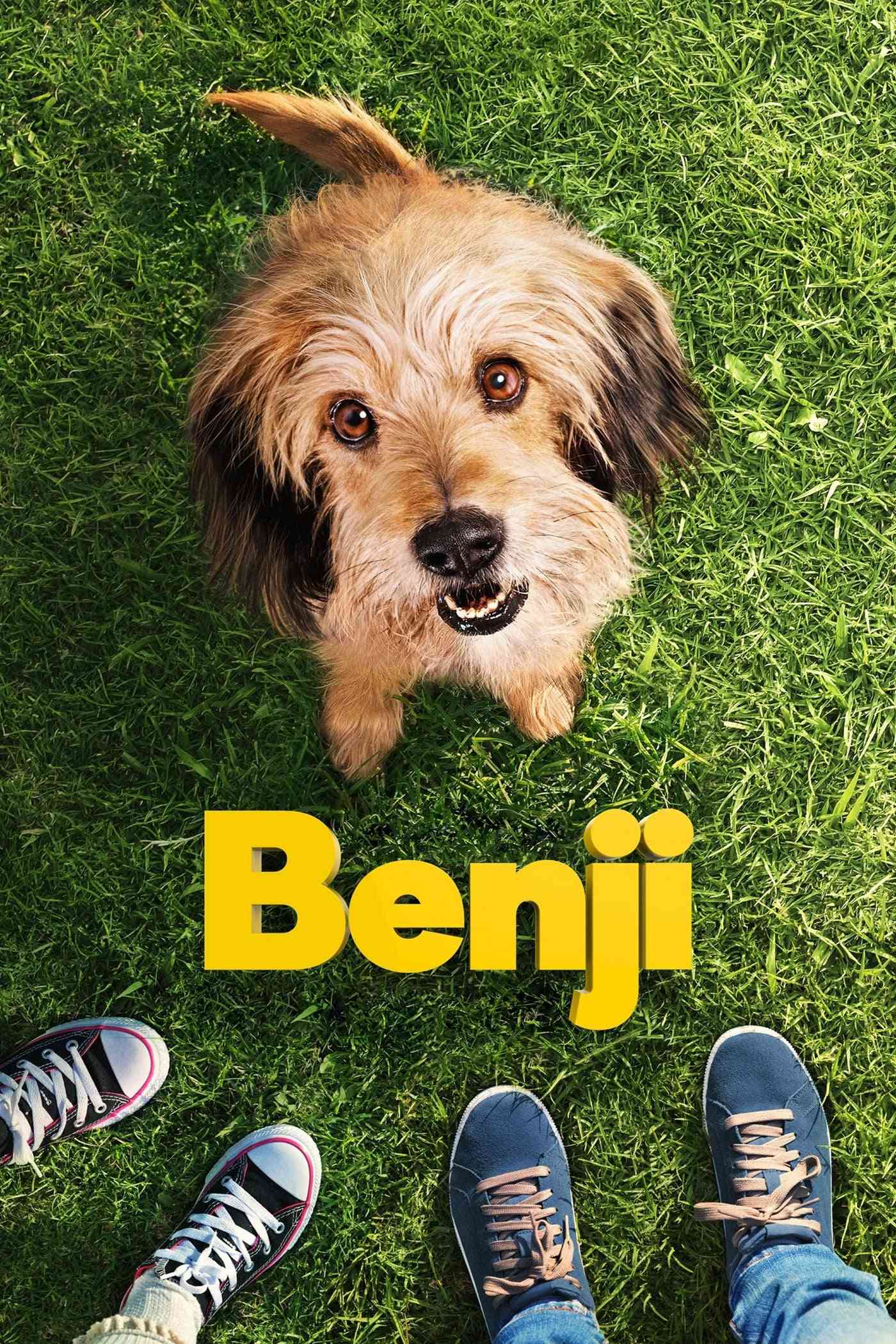 Benji  (2018),Online za darmo