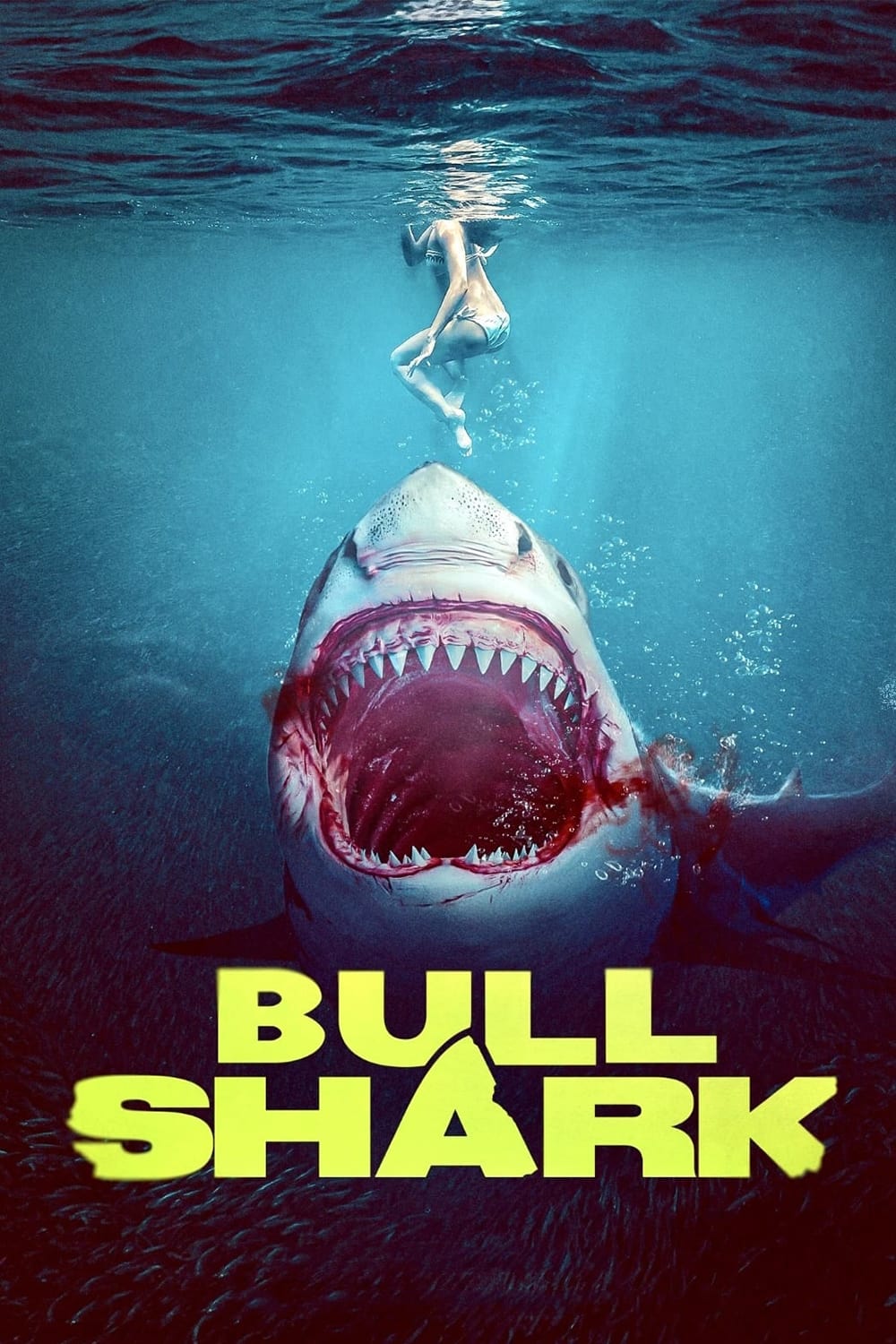 Bull Shark / Żarłacz  2022