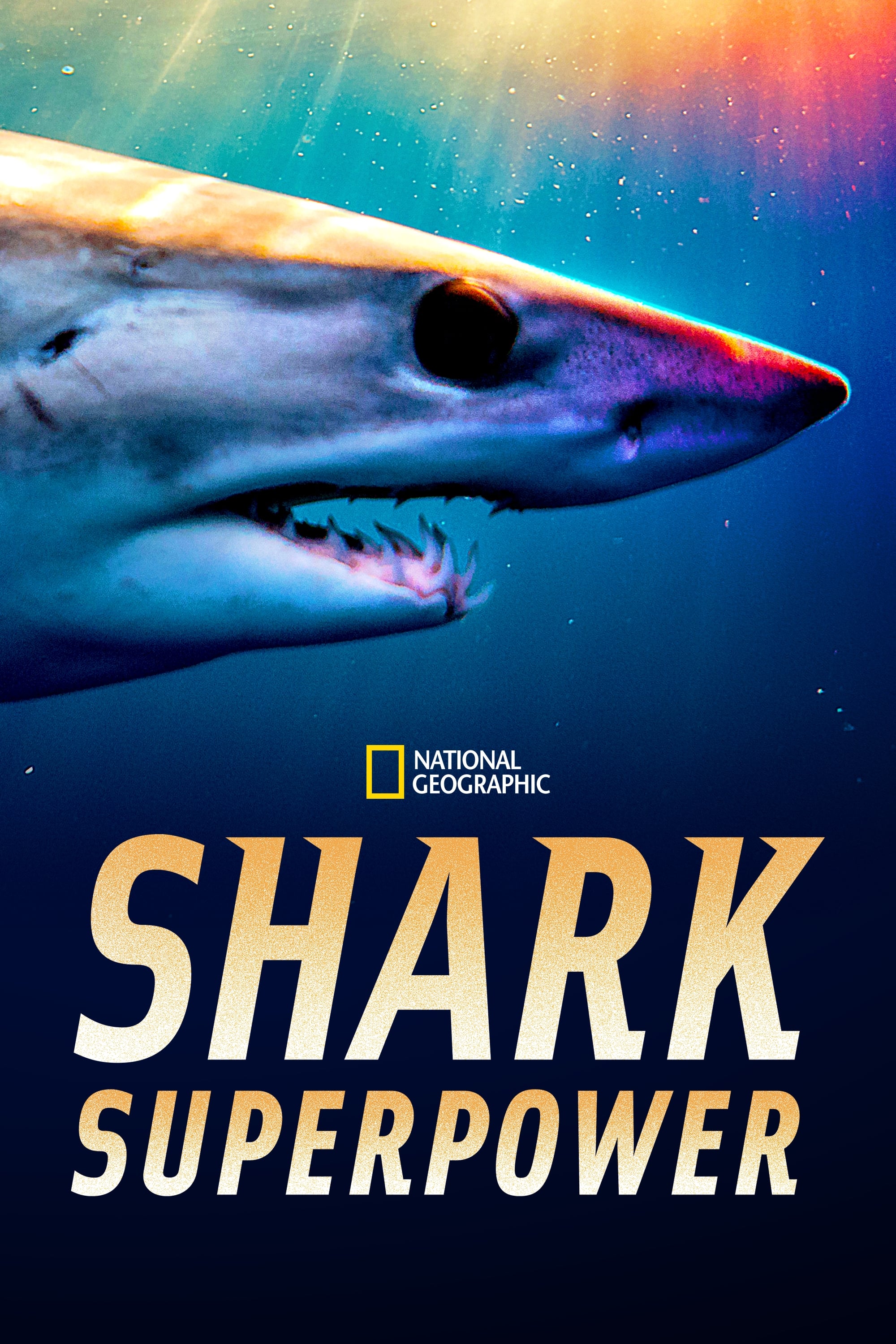 Shark Superpower  2022